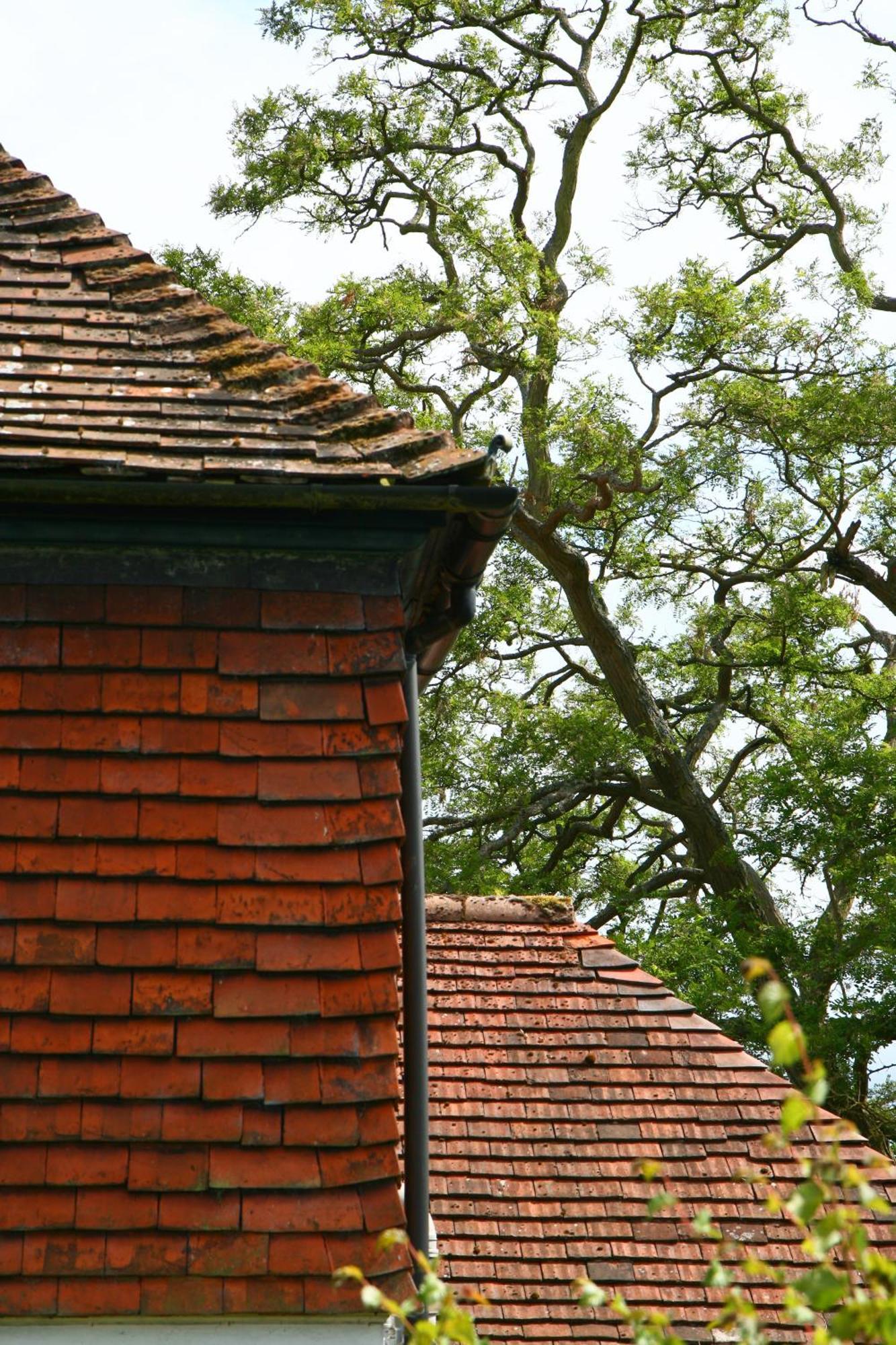 Shakespeare'S View Stratford-upon-Avon Exterior foto